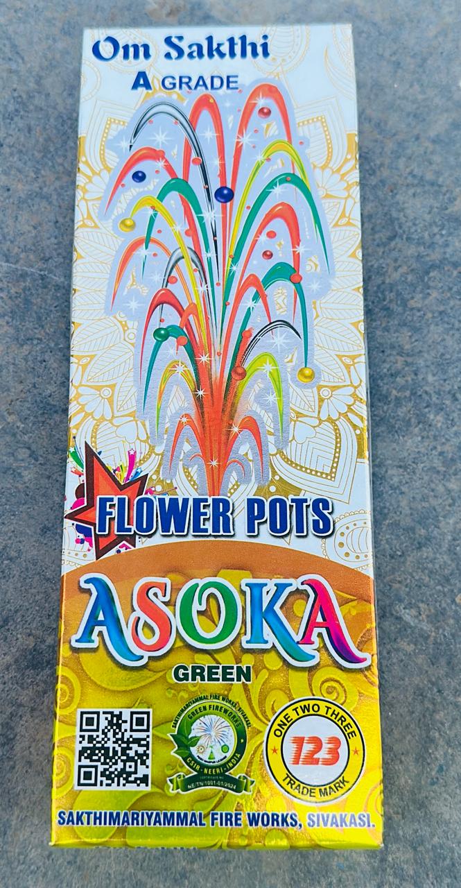FLOWER POT ASOKA